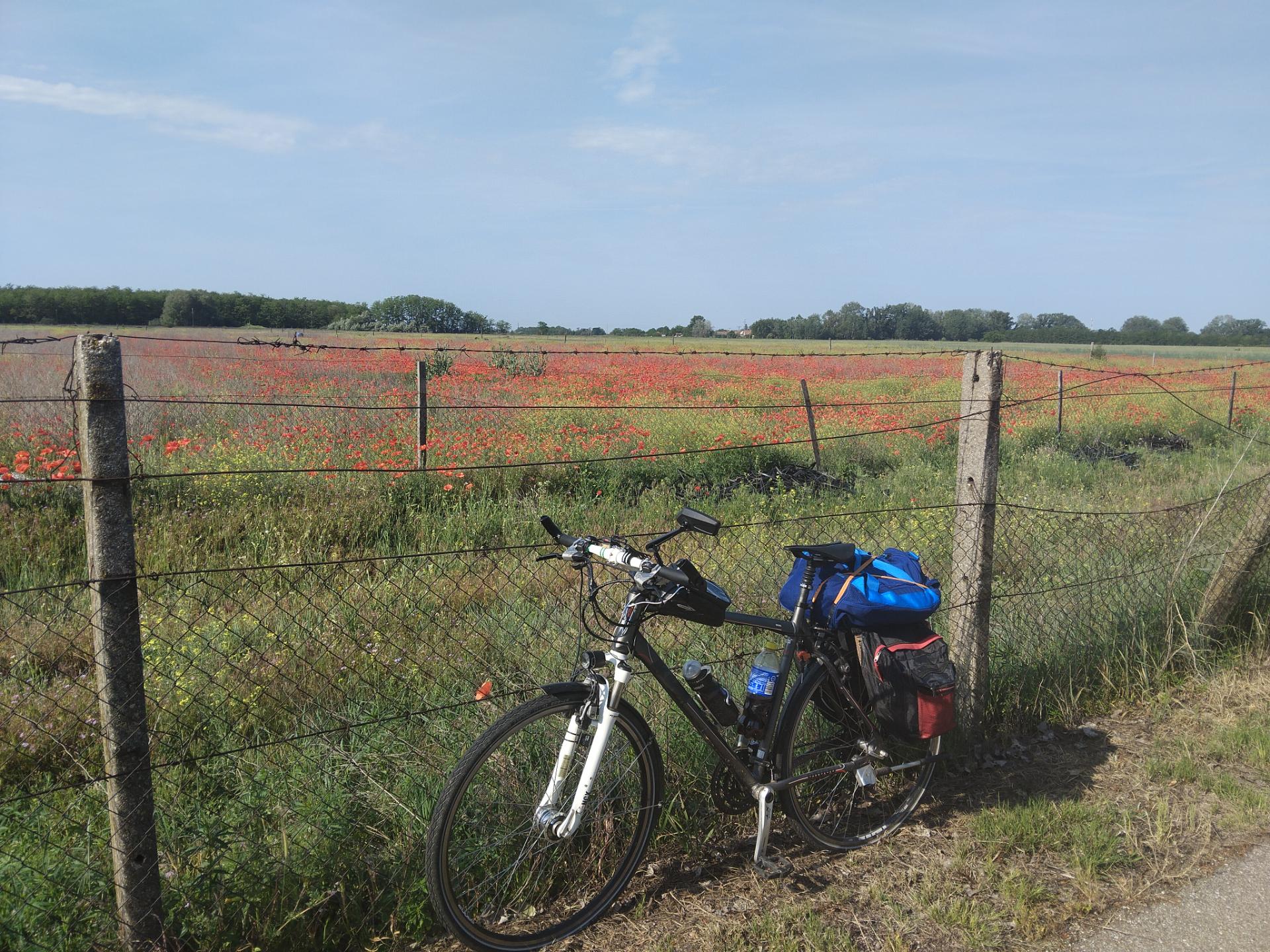 Route 44 Photo