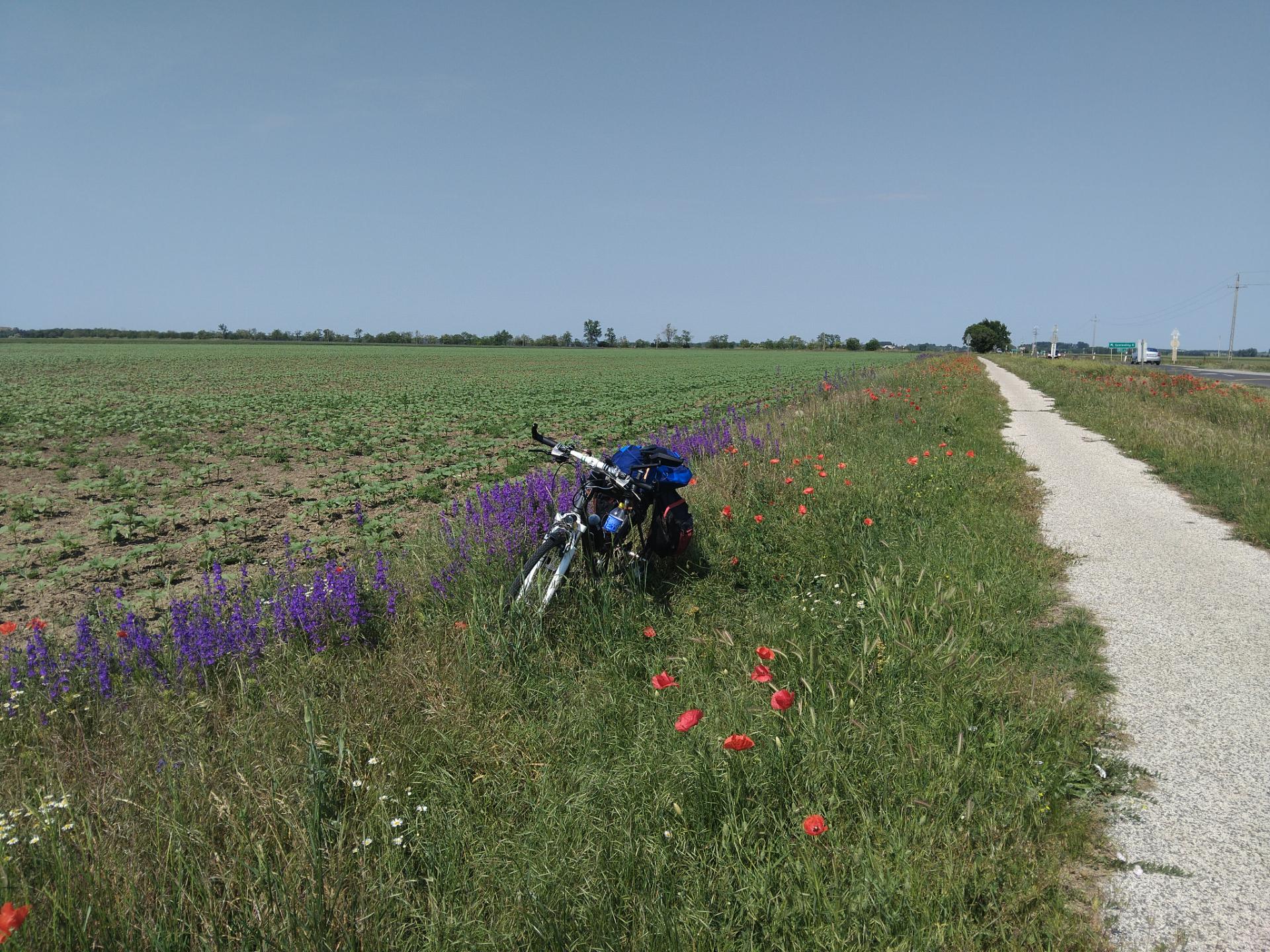 Route 44 Photo